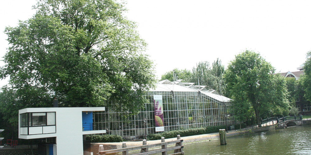 Фото Амстердамский ботанический сад, Центр и Запад (Амстердам, Роттердам, Утрехт, Алмере), Нидерланды