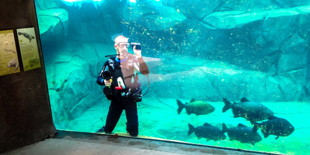 Фото Париж: Парижский аквариум, Иль-де-Франс (Париж), Франция