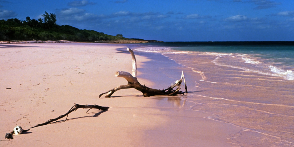 Фото Пляж Розовый песок, Нью-Провиденс (Нассау), Андрос, Эксума, Кот, Инагуа, Багамские Острова