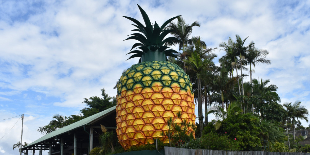 Фото Квинсленд - Вумбай: Большой ананас, Юг (Брисбен, Рокхемптон, Тувумба), Австралия - Квинсленд