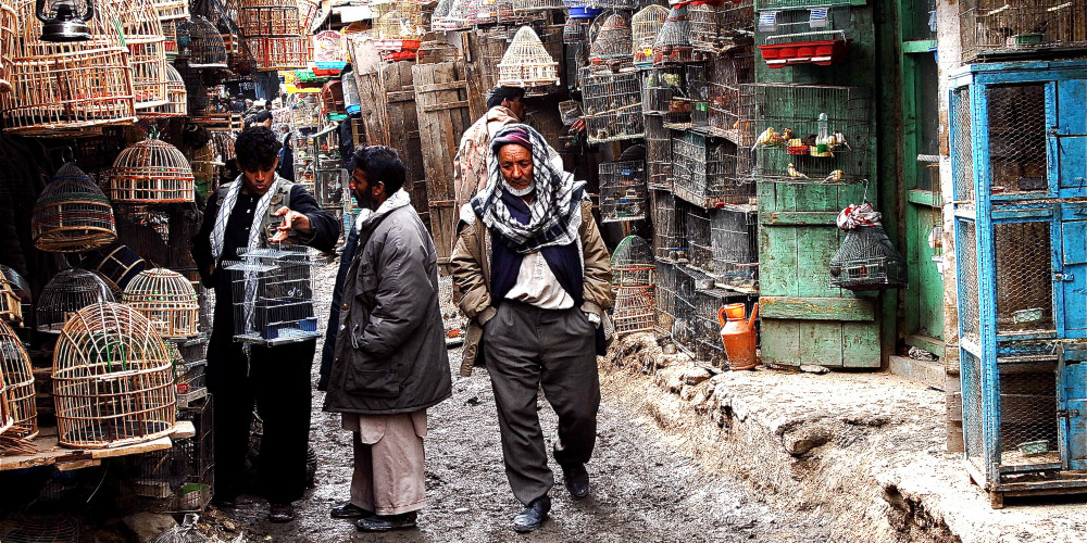 Фото Чикен стрит, Кабул, Северо-восток (Кабул, Нуристан, Бадахшан, Тахар, Парван), Афганистан