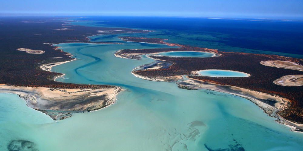 Фото Область залива Акул (WA), Кимберли, Пилбара, Гаскойн (Брум, Эксмут, Каррата), Австралия - Западная Австралия