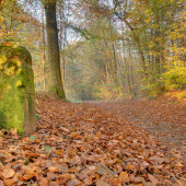 Лучшие места для семейного отдыха в Люксембурге