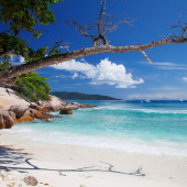 Отдых на Сейшелах