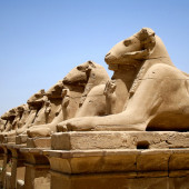 Ночная жизнь и пабы в Луксоре, Египет