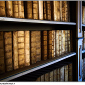 Самые крупные книжные магазины Флоренции