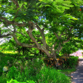 Малоизвестные факты о Бермудских островах