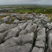 Это нужно осмотреть в Ирландии