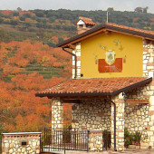 Что посмотреть в Вероне