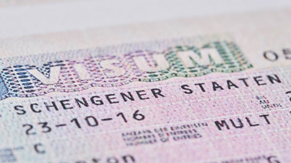 Цифровизация шенгенских виз
